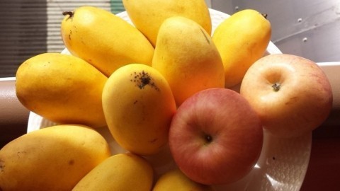 Grüne Mango reifen besser auf Äpfeln
