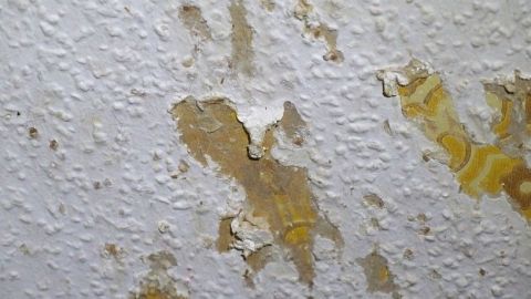An einer Wand sind sichtbare Schäden und Abnutzungen zu erkennen, verursacht durch das Nagen eines Kaninchens.