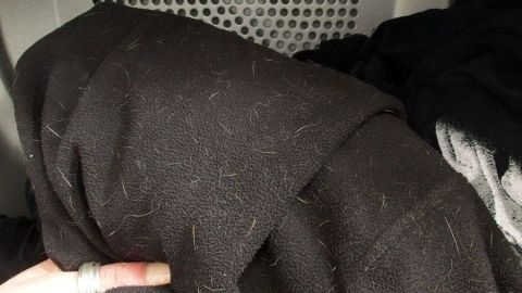 Schwarzes Kleidungsstück mit Fusseln wird aus dem Trockner genommen, um die Fusseln zu entfernen.
