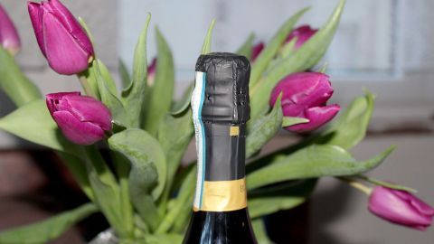 Um das Überschäumen des Sektes beim Öffnen der Flasche zu verhindern, muss diese so schräg wie möglich gehalten werden. Eine Sektflasche steht im Vordergrund, während sie von pinken Tulpen umgeben ist, bereit, ohne Schäumen geöffnet zu werden.
