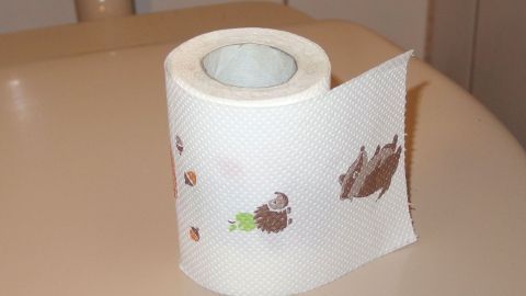 Starker Durchfall: Hier helfen ungesüßter Kamillen- oder Schwarztee, getrocknete Heidelbeeren, trockener Zwieback und Salzstangen. Eine Rolle Toilettenpapier steht auf einer Ablage und wird im Zusammenhang mit Darmproblemen und Durchfall verwendet.