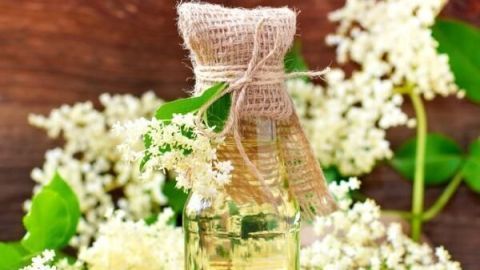 Eine Glasflasche mit Holundersirup steht umgeben von blühenden Holunderblüten, dekoriert mit Sackleinen, auf einem Holztisch.