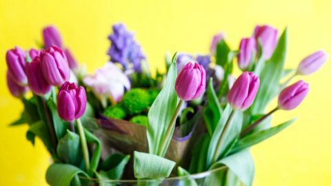 Deine Tulpen bleiben viel länger frisch, wenn du sie direkt nach dem Kauf unterhalb ihres Kopfs mit einem Messer einschneidest. Frische Tulpen stehen in einer Vase auf einem gelben Hintergrund, umgeben von bunten Blumen und kräftigem Grün.