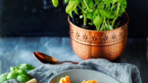 Ein Teller Nudeln mit Ketchup und Parmesan, garniert mit Basilikum, steht auf einem Tisch neben einer Kräutertopf-Pflanze.