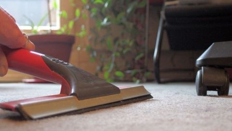 Entfernen von Hundehaaren auf dem Teppich mit Fensterabzieher. Ein Fensterabzieher entfernt Hundehaare von einem Teppich in einem hellen, pflanzenreichen Raum.