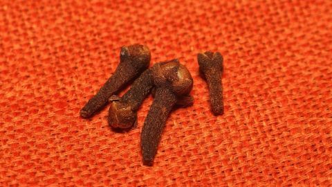 Gewürznelken liegen auf einem orangefarbenen Tuch, sie sind das natürliche Mittel gegen Zahnschmerzen.