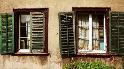Zwei alte Fenster mit grünen Holzläden, halb offen, an einer verwitterten Hauswand. Efeu wächst am unteren Rand.