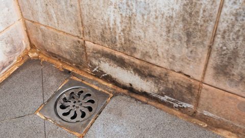 Brennspiritus gegen Schimmel in der Wohnung