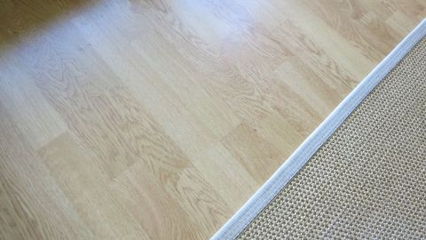 Der Laminatboden ist sauber und trocken, ohne nasse Katzentappen, in einem hellen Raum mit einem Teppichrand.