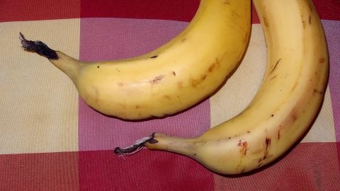 Zwei gelbe Bananen liegen auf einem karierten Tisch. Sie sind reif und bereit für die Zubereitung von Bananenmilch.