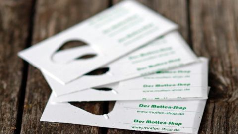Schlupfwespenkarten liegen auf einem rustikalen Holzuntergrund, bereit für den Einsatz gegen Kleidermotten.