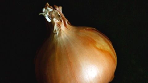 Gefrorene Zwiebeln (leicht antauen lassen) lassen sich prima schälen und schneiden, ohne dass man Tränen vergießt. Eine gefrorene Zwiebel liegt auf einem dunklen Untergrund, bereit zum Schälen ohne Tränen, um das Kochen zu erleichtern.