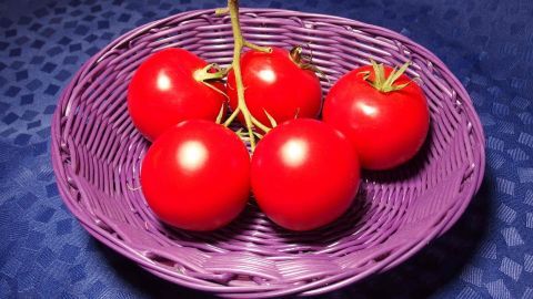 Ein lila Korb mit glänzenden roten Tomaten steht auf einem blauen Tisch und könnte für eine Tomatenmaske genutzt werden.