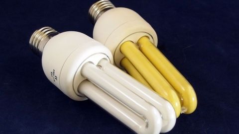 Mit Energiesparlampen bis zu 80 % Strom sparen: Beim Kauf sollte man auf Testberichte zurückgreifen, da es bei der Qualität große Unterschiede gibt. Zwei Energiesparlampen, eine weiße und eine gelbe, stehen nebeneinander auf einem dunkelblauen Hintergrund.