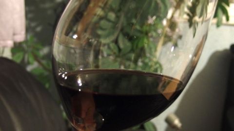Sinnvolle Verwertung von Weinresten: Wein in Eiskugelbeutel füllen und einfrieren. Kann prima zum Verfeinern von Soßen verwendet werden. Ein Glas mit roten Weinresten steht in einem grünen, begrünten Umfeld und lädt zur kreativen Wiederverwertung ein.