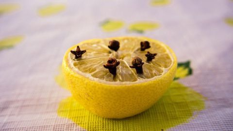 Eine halbierte Zitrone mit Gewürznelken sitzt auf einem hellen Tisch mit Zitronenmuster und bietet natürlichen Fliegenabwehr.