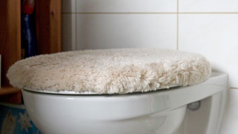 Ein Toilettensitz mit einem schmutzigen, abgenutzten Bezug, der im Badezimmer auf einem weißen Klo platziert ist.