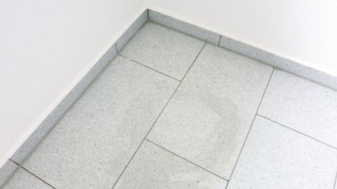 Glatte Oberflächen mit Shampoo putzen: Alles wird blitzeblank und glänzt, außerdem imprägniert es die Oberfläche etwas, so dass es nicht so schnell wieder schmutzig wird. Ein glatter Boden ist leicht verunreinigt und zeigt einen leicht verschmutzten Fleck. Der Raum ist hell und sauber.
