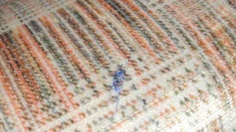 Auf einer Textilcouch sichtbar ist ein blauer Kugelschreiberfleck, der sich auf dem gemusterten Stoff befindet.