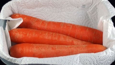 Möhren in einer verschlossenen mit Küchenpapier ausgelegten Frischhaltedose aufbewahrt, halten länger. Orangene Möhren liegen in einer Schale, umgeben von einem Papiertuch, um die Haltbarkeit zu verlängern.