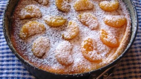 Ein Mandarinen-Käsekuchen ohne Boden steht auf einem karierten Tuch, dekoriert mit Puderzucker und frischen Mandarinenstücken.