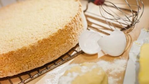 Ein Biskuitboden kühlt auf einem Gitter, daneben sind eine Teigkugel, ein Schneebesen und ein zerbrochenes Ei auf einem Tisch.