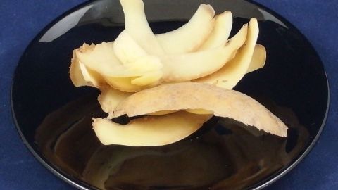 Kartoffelschalen liegen auf einem schwarzen Teller und k&ouml;nnen zur Reinigung von Blumenvasen verwendet werden.