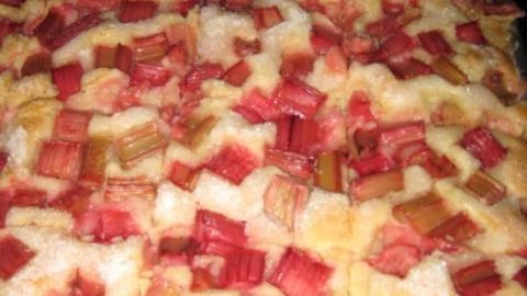 Ein Blechkuchen mit Rhabarberstücken, frisch gebacken, dampft in einem Backblech im Ofen vor sich hin.