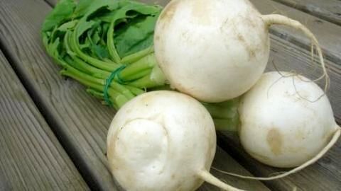Frische Mairüben eignen sich perfekt für ein cremiges Püree – so einfach zauberst du aus diesem Gemüse eine leckere Beilage.