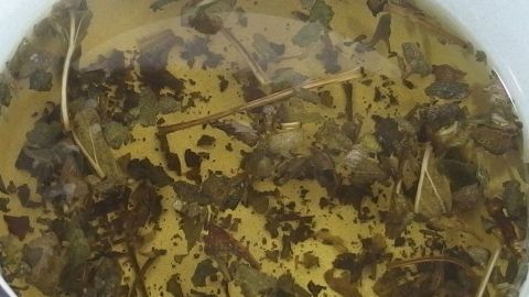 Eine Tasse mit Salbeitee, in der Kräuter schwimmen, dient zur Linderung von Zahnfleischentzündung und Aphten.