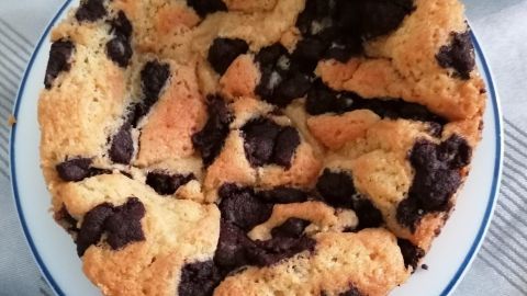 Ein Streuselkuchen liegt auf einem Teller, zerfallen und unregelmäßig, mit einer Mischung aus hellem und dunklem Teig.