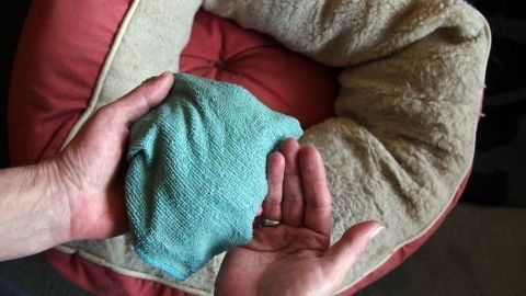 Hände halten ein Tuch, während sie Tierhaare von einem gemütlichen Hundebett entfernen. Das Bett hat eine runde Form und ist weich.