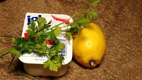 Eine frische, grüne Kräuterzweig liegt auf einem Becher mit einer Creme und einer gelben Zitrone auf einem rustikalen Untergrund.