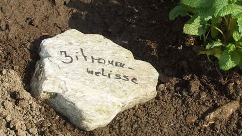 Ein Stein mit der Beschriftung „Bittere weiße“ liegt in einem Kräuterbeet, um die Pflanzen zu kennzeichnen.