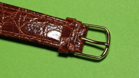 Ein brauner Armbanduhren-Verschluss liegt auf einem grünen Hintergrund, bereit zum Anlegen an einem Handgelenk.