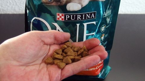 Eine Hand hält Hunde- oder Katzenfutter aus einer Purina-Verpackung, um einer alten Katze bei Durchfall zu helfen.