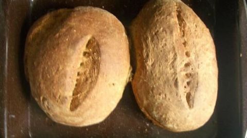 Zwei gebackene Brote liegen nebeneinander in einem Backblech. Sie sind goldbraun und weisen tiefe Einschnitte auf.