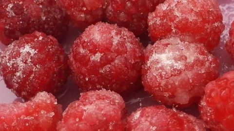 Gefrorene Himbeeren, mit einer Zuckerschicht überzogen, liegen in einem Behälter und sind bereit zum Einfrieren.