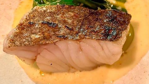 Saftiger Fisch liegt auf einer cremigen Senfsoße, garniert mit frischem Blattgemüse in elegantem Teller.