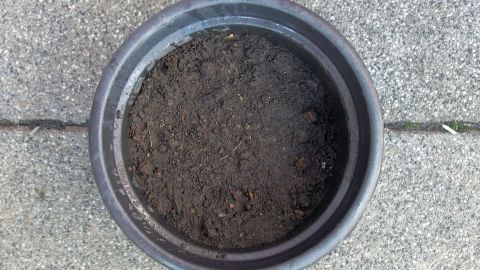 Wenn man die Erde beim Aussäen vorher nass macht, schwimmt die Saat nicht davon. Ein Blumentopf steht auf dem Boden, gefüllt mit frischer Erde, bereit für das Pflanzen neuer Saat.