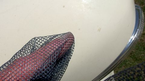 Eine Hand hält ein Fliegengitter, während es über die Fahrzeugoberfläche gezogen wird, um Insekten zu entfernen.