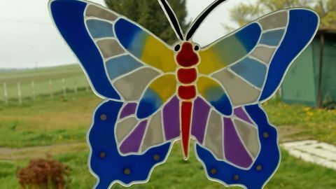 Ein bunter Schmetterling ist an einem Fenster platziert, umgeben von einer grünen Wiese und einem Gartenhaus im Hintergrund.