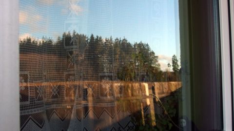 Ein Fenster zeigt eine Reflektion der Natur draußen, während die Umgebung Ruhe und Klarheit vermittelt.