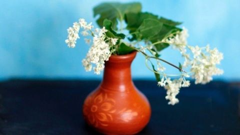 Eine kleine blühende Pflanze steht in einer rustikalen Vase auf einem Tisch vor einem sanft blauen Hintergrund.