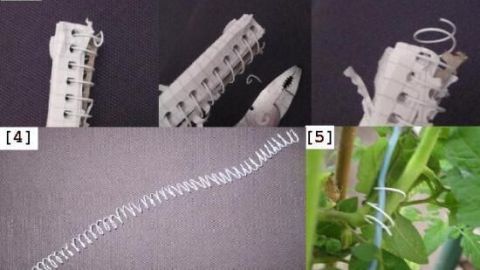Spiralbuchdraht wird von einem Notizbuch entnommen und für Pflanzentraining im Garten neu verwendet.