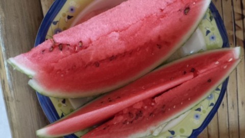 Schnecken bekämpfen mit Melone