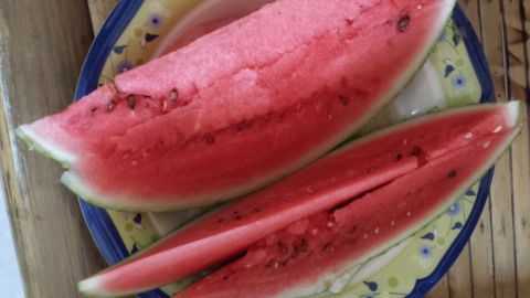 Mit einem größeren Stück Melonenschale im Garten Schnecken bekämpfen. Saftige Melonenscheiben liegen auf einem bunten Teller und könnten als natürliche Schneckenbekämpfungsmethode dienen.