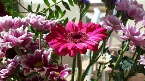 Freude an Blumen in der Vase