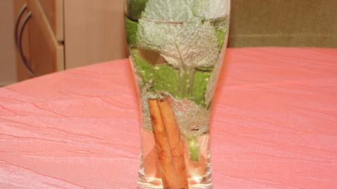 Ein Glas mit frischen Minzblättern und einer Zimtstange steht auf einem pinken Tisch und wirkt erfrischend.