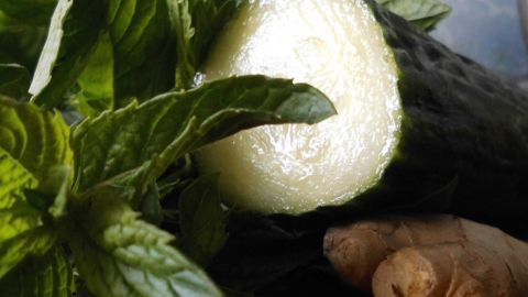 Eine frische Gurke liegt neben Ingwer und Minze, ideal für die Zubereitung von Schlankwasser zur Unterstützung einer Diät.